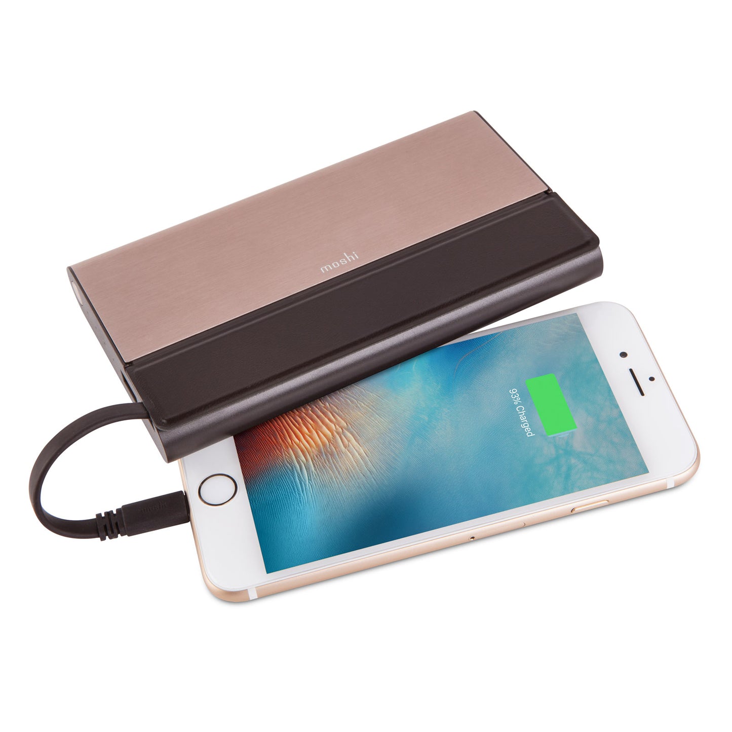 IonBank 10K Portable Battery