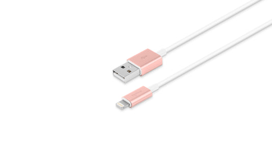 USB-A to Lightning Cable 3.3 ft (1 m)