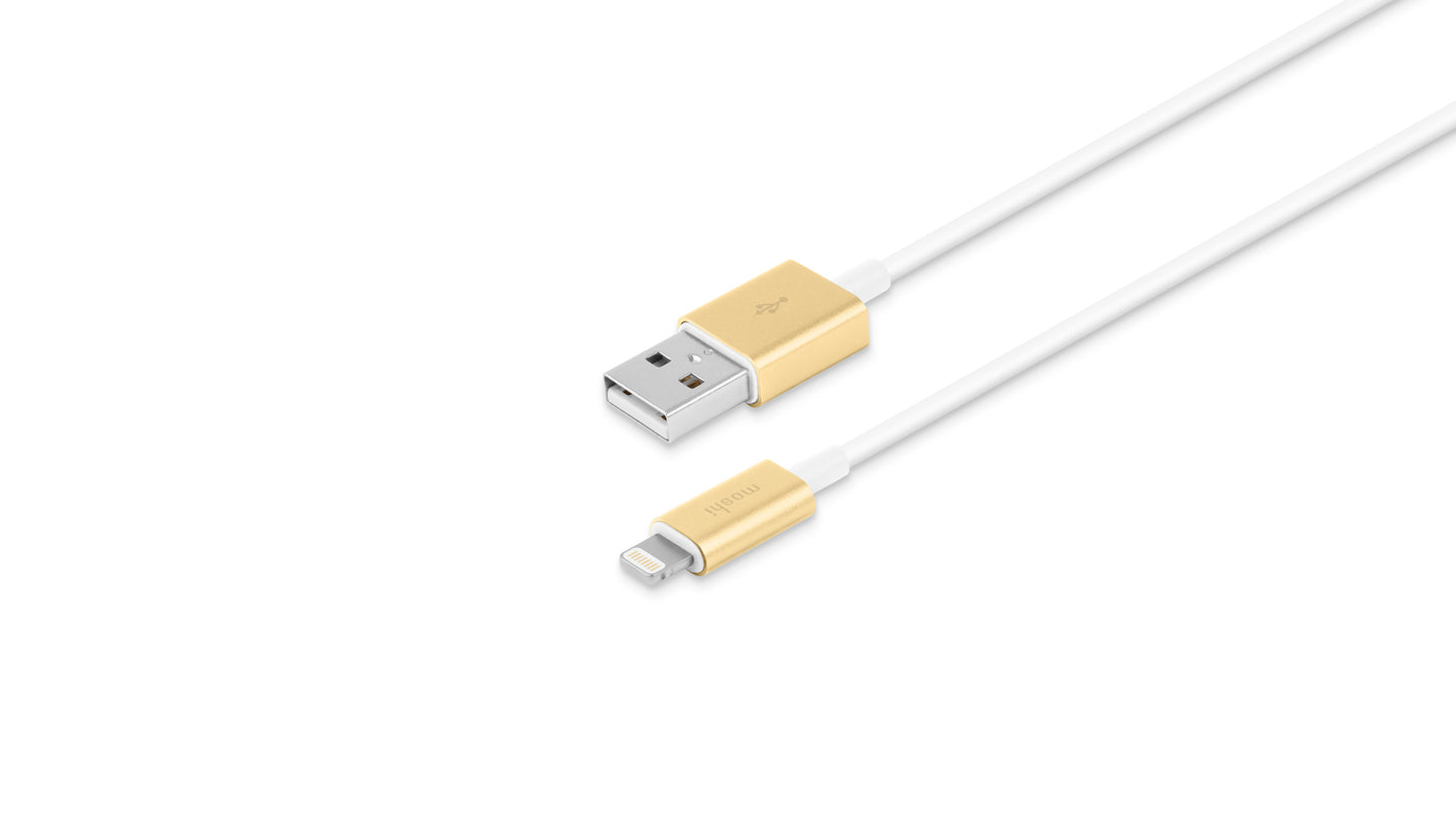 USB-A to Lightning Cable 3.3 ft (1 m)